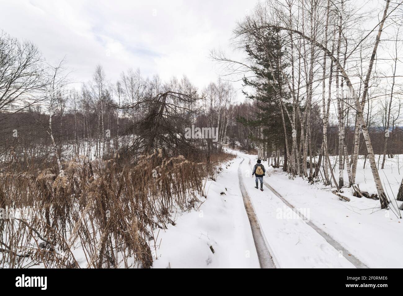 Persone che camminano attraverso la foresta durante il freddo giorno d'inverno. Foto Stock