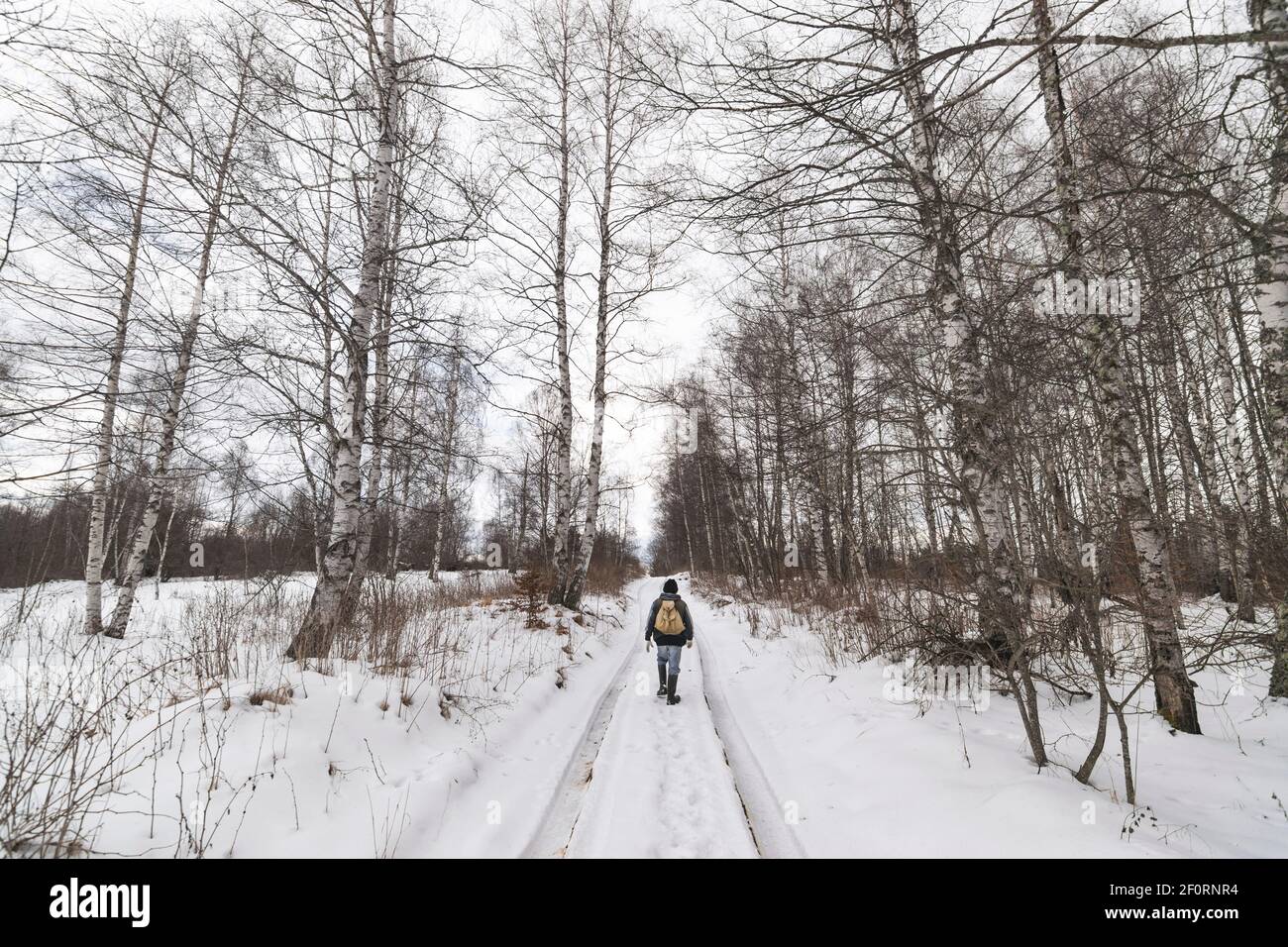 Persone che camminano attraverso la foresta durante il freddo giorno d'inverno. Foto Stock