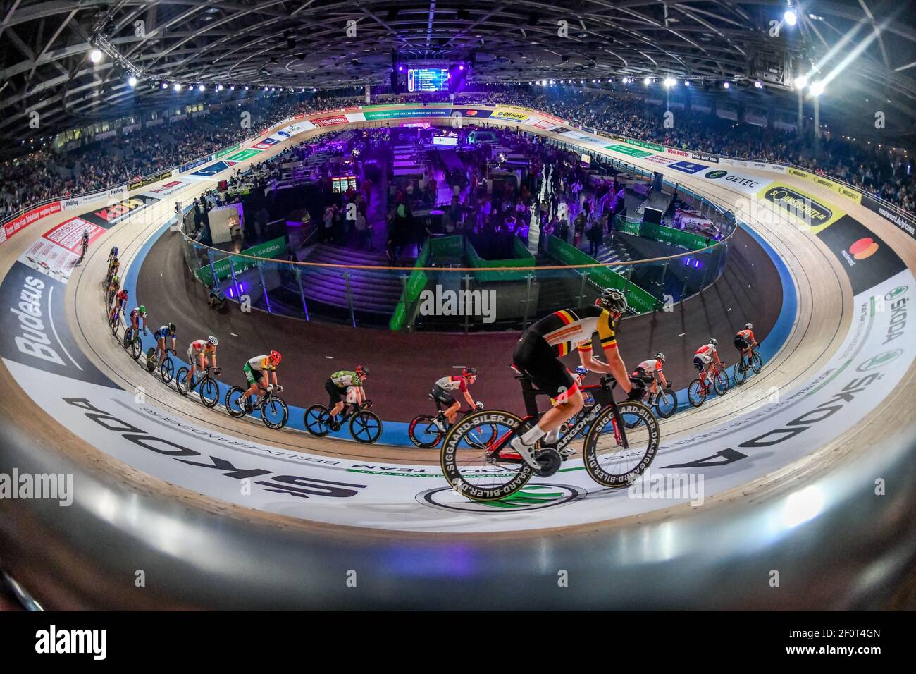 Sixdays Berlin 2019, giorno 4. Domenica 27.01.2019, 7, 5 km di corsa punti, Velodrom, Prenzlauer Berg, Berlino, Germania Foto Stock