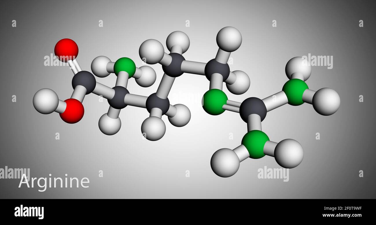 Arginina, L-arginina, Arg, R molecola aminoacidica essenziale, è usata nella biosintesi delle proteine. Modello molecolare. Rendering 3D. Illustrazione 3D Foto Stock