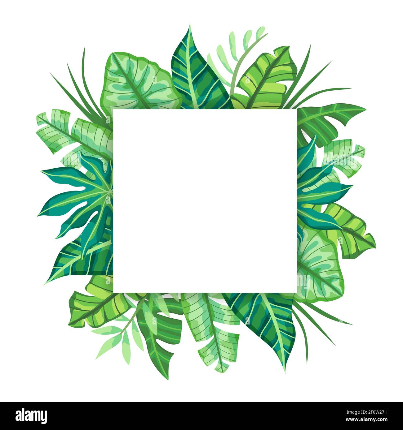 Disegno di etichetta quadrata con foglie tropicali. Adatto per concetto di natura, vacanza e vacanze estive. Illustrazione vettoriale. Illustrazione Vettoriale