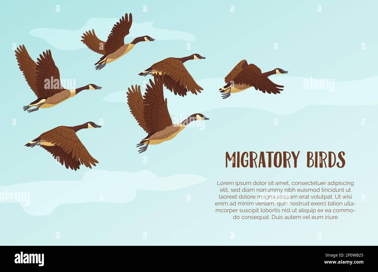 Gregge di oche migranti che volano. Concetto di uccelli migratori. Sfondo cielo con testo. Illustrazione vettoriale. Illustrazione Vettoriale