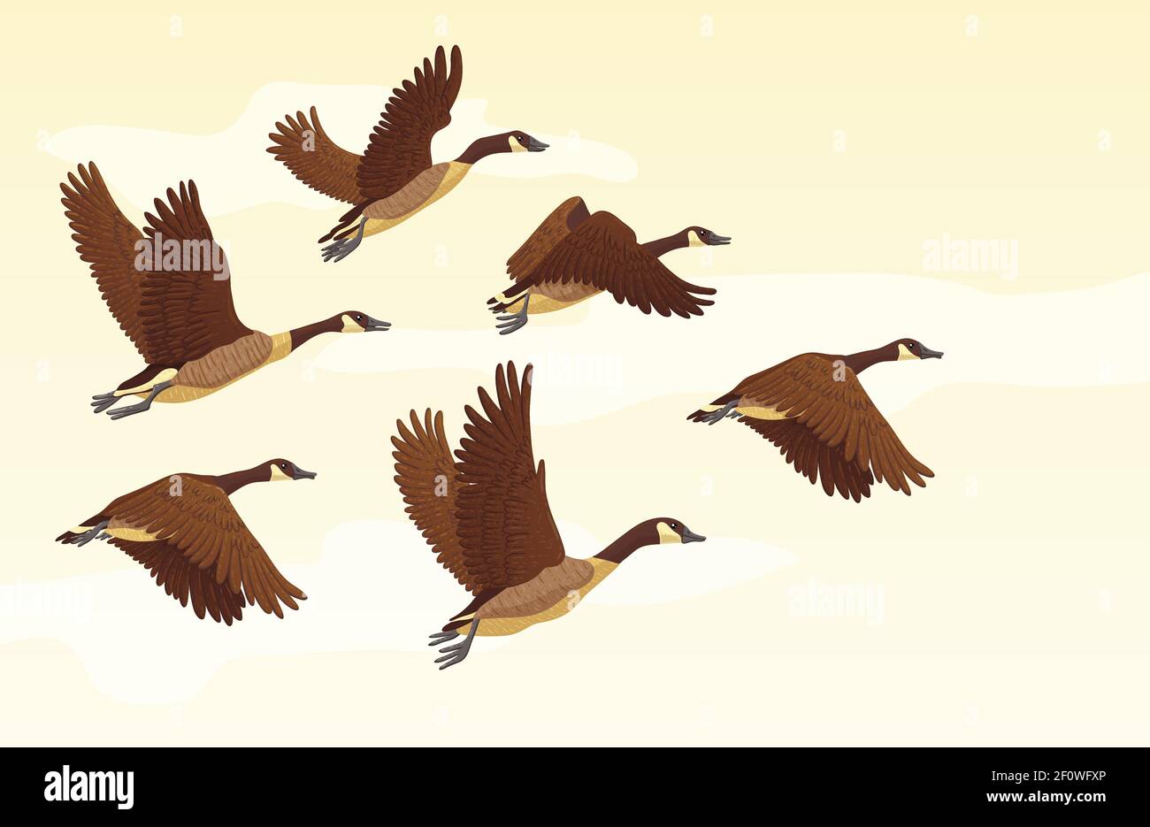 Gregge di oche migranti che volano. Concetto di uccelli migratori. Illustrazione vettoriale. Illustrazione Vettoriale