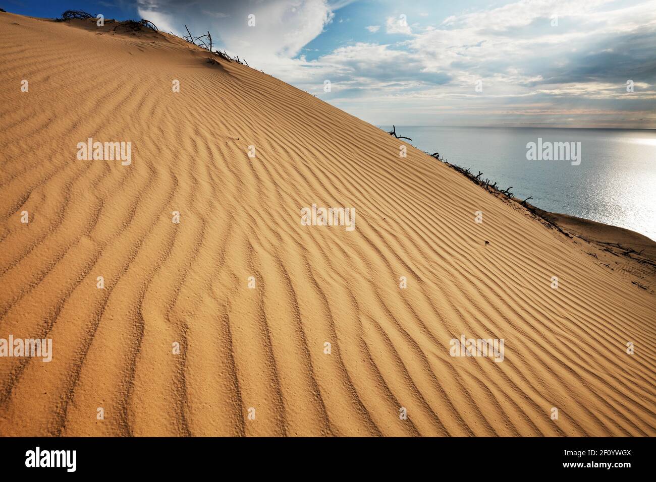 Andamento ondulato formato dal vento sulla duna di sabbia vagante di Rubjerg e le scogliere di arenaria tra Lønstrup e Løkken, Danimarca; Lønstrup Klint; Danmark Foto Stock