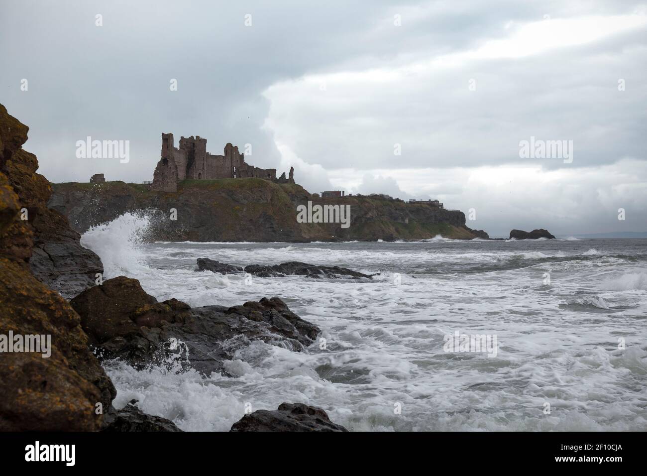 Scogliere lungo la costa al castello di Tantallon in East Lothian, Scozia. Foto Stock