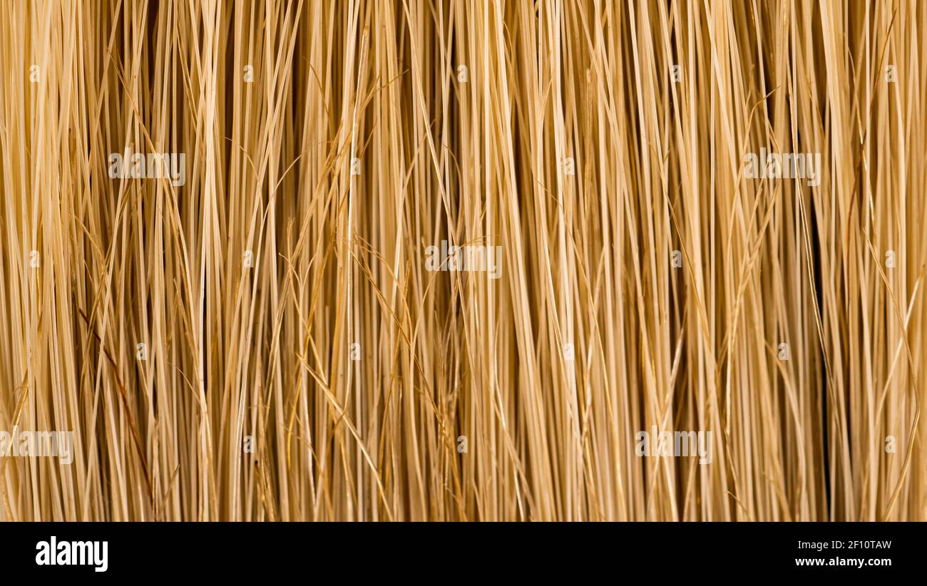 Setole di pennelli su carta marmorizzata Foto Stock