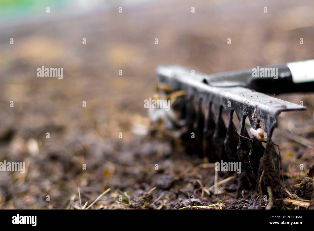 Rake with dry immagini e fotografie stock ad alta risoluzione - Alamy