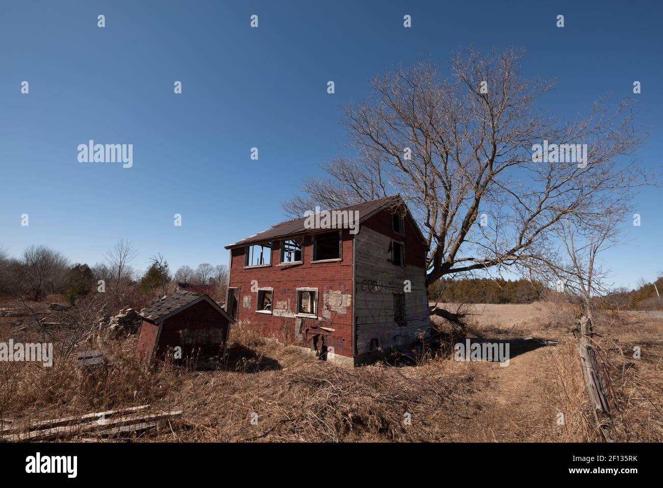 Casa abbandonata in Ontario rurale, assediata con graffiti. Foto Stock