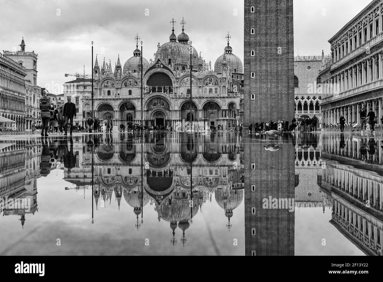 La riflessione della Basilica di San Marco e del Campanile in Piazza San Marco, Venezia, Italia (bianco e nero) Foto Stock