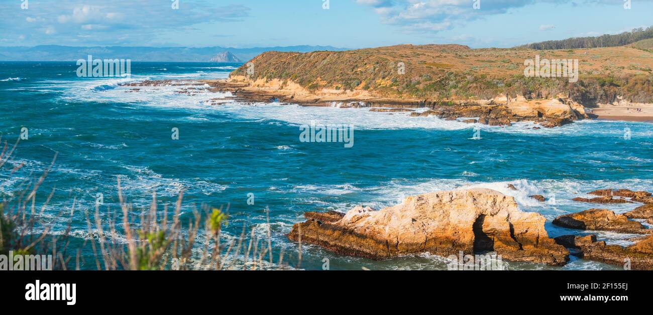 Panorama. Scogliere rocciose, spiaggia, colline e la foresta nativa della California, splendida vista dal sentiero Montana de Oro Bluff, California Foto Stock