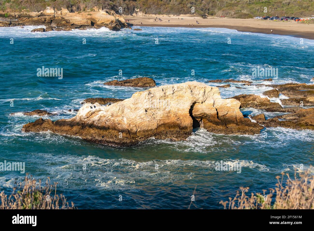Scogliere rocciose con gregge di uccelli, spiaggia e foresta nativa della California, vista incredibile dal sentiero Montana de Oro Bluff, California Foto Stock