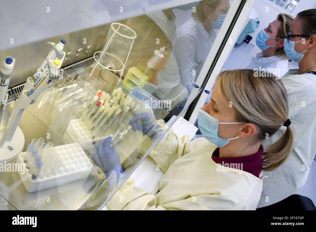 03 marzo 2021, Sassonia, Lipsia: In un laboratorio PCR di MVZ Labor, il capo del reparto PCR per malattie infettive, Dr. Katja Sänger, prepara i tamponi dei pazienti per la diagnostica SARS-COV-2 su un dispositivo analitico al banco di lavoro di sicurezza. Il laboratorio, che fa parte del gruppo Limbach, elabora circa 10,000 campioni PCR alla settimana per il rilevamento della SARS-COV-2 per ospedali e medici generici. Attualmente vengono diagnosticate anche varianti di virus con un potenziale di rischio aumentato, tra cui la variante britannica B.1.1.7, attualmente particolarmente diffusa, ma anche la variante sudafricana A. Foto Stock