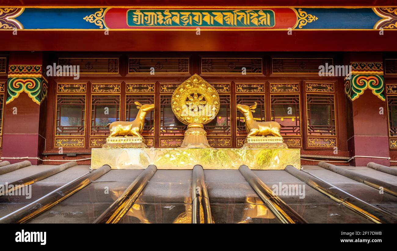 Dharmachakra o Dharma ruota tra due cervi e dettagli colorati Del tempio buddista tibetano Dazo in Cina Shangri-la Yunnan Foto Stock