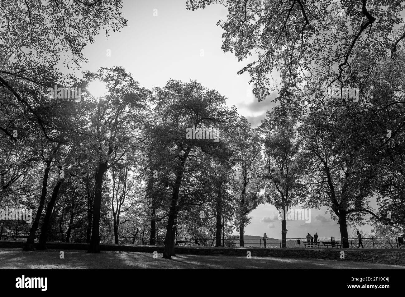 Bellissimo parco nel castello della città di Przemysl in una giornata soleggiata e limpida contro un cielo luminoso. Alberi alti, panchine nel parco autunnale. Parte di Przemysl Foto Stock