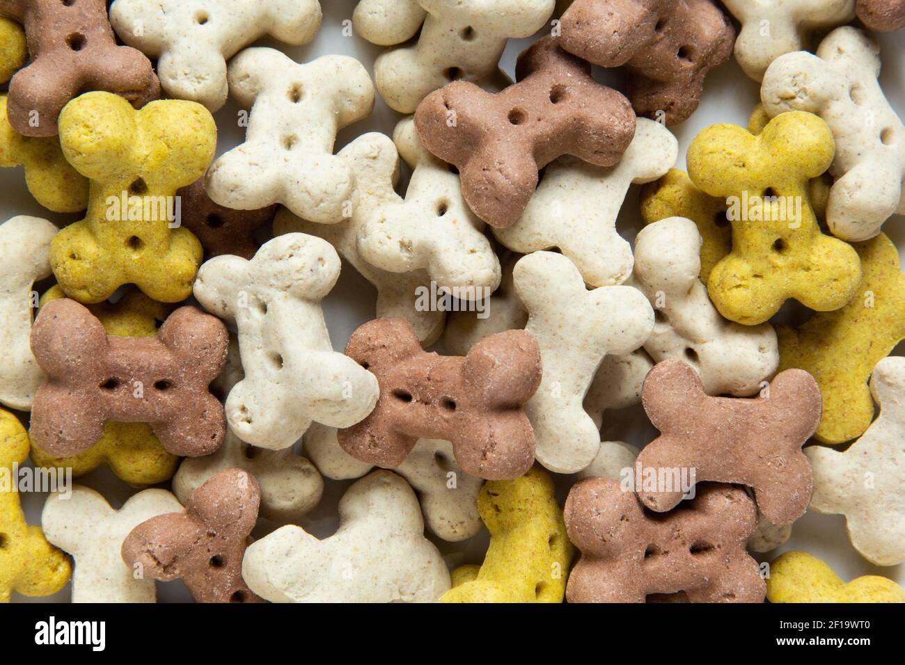 Primo piano di crunchies vegetariani secchi del cane sotto forma di ossa Foto Stock