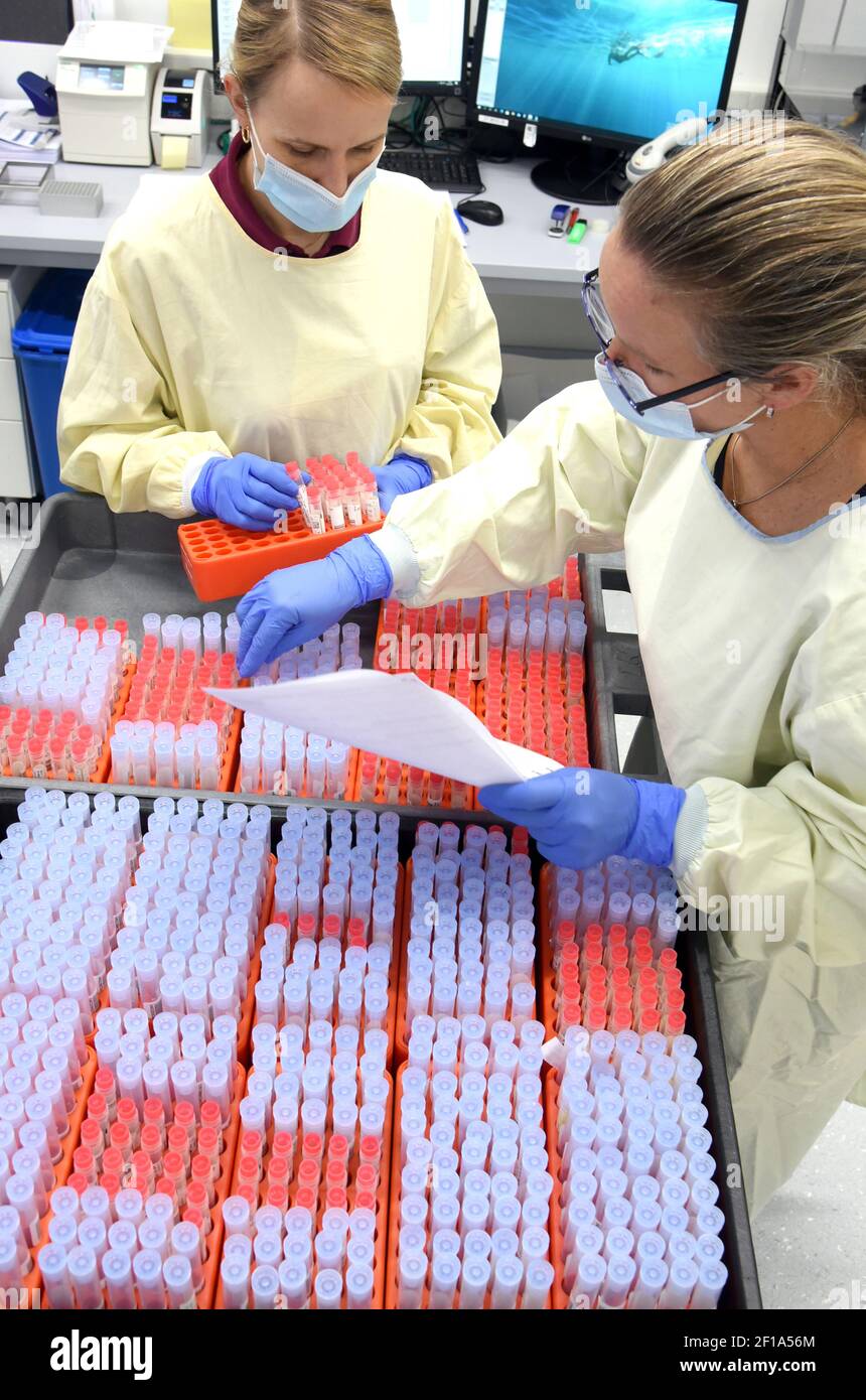 03 marzo 2021, Sassonia, Lipsia: Presso il laboratorio MVZ, il capo del dipartimento PCR, la dott.ssa Katja Sänger (l) e l'impiegato Birgit Rebeck, prelevano campioni SARS-COV-2 dall'archivio campioni per le misurazioni di controllo. Il laboratorio, che fa parte del gruppo Limbach, elabora circa 10,000 campioni PCR alla settimana per il rilevamento della SARS-COV-2 per ospedali e medici generici. Attualmente, vengono diagnosticate anche varianti di virus con un potenziale di rischio aumentato, compresa la variante britannica B.1.1.7 attualmente particolarmente diffusa, ma anche le varianti di virus sudafricani e brasiliani. Foto: Walt Foto Stock