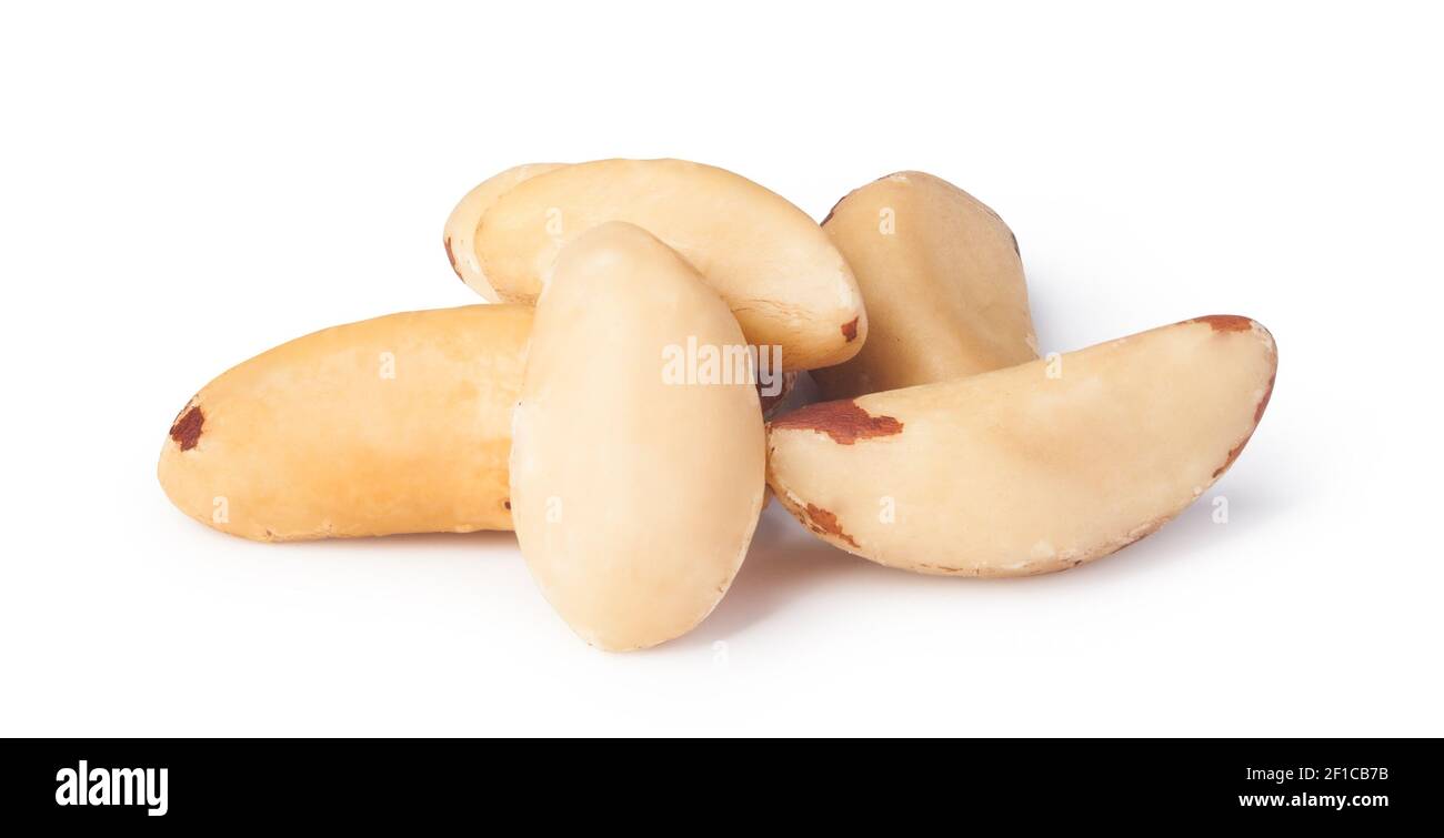 Noce del Brasile Foto Stock