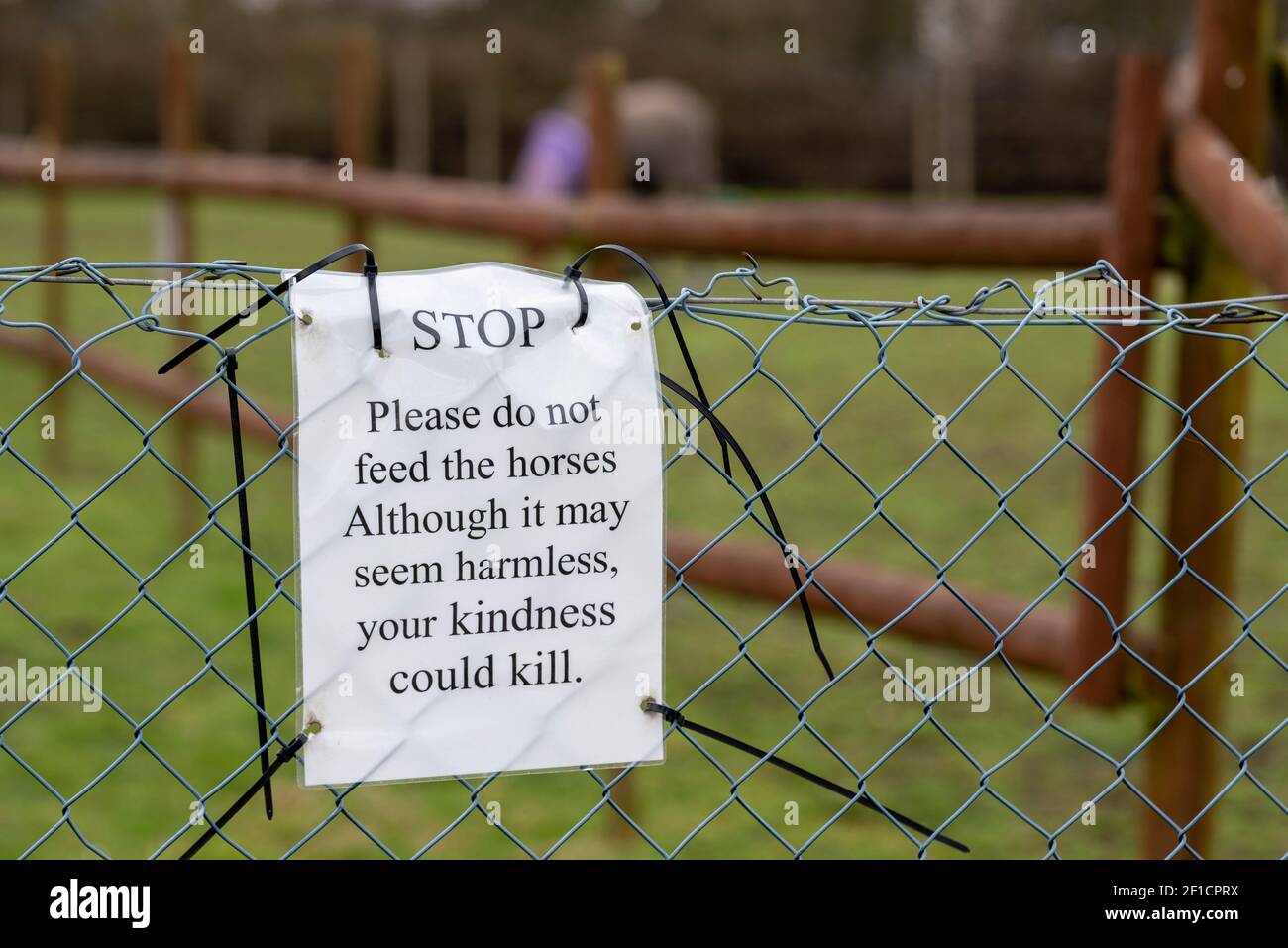 Si prega di non dare da mangiare ai cavalli segno in Orsett, Essex, UK. Avviso stampato su recinzione con fascette in plastica. La gentilezza potrebbe uccidere Foto Stock