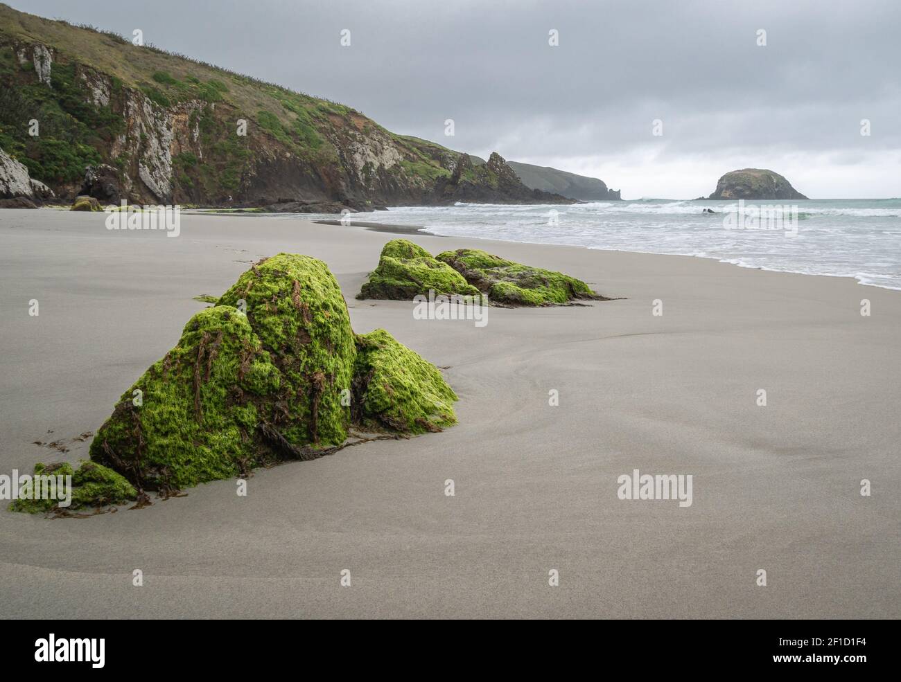 Spiaggia remota con rocce mussose in primo piano. Scatto effettuato durante la giornata di overcast a Allans Beach, Dunedin, Penisola di Otago, Nuova Zelanda Foto Stock