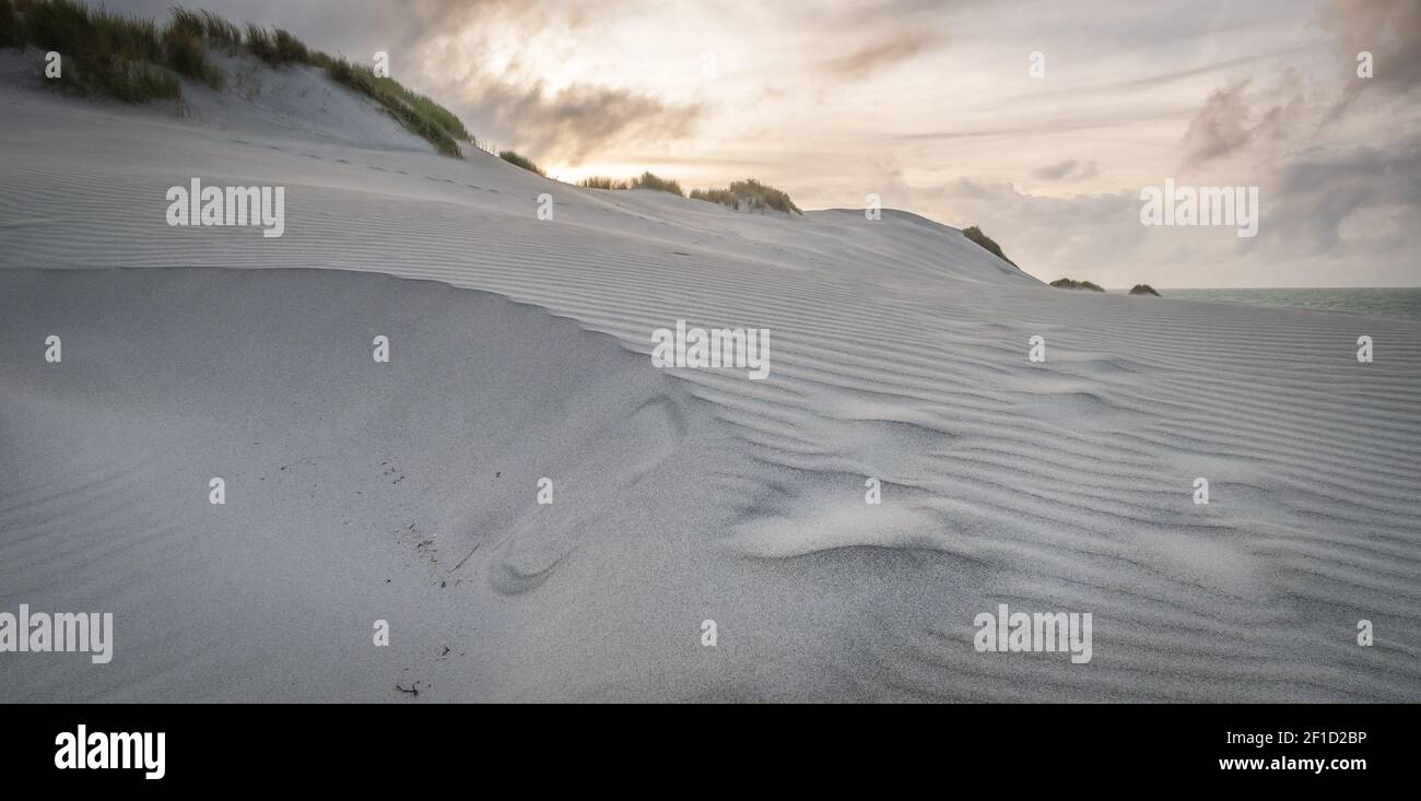 Scenario di dune di sabbia bianca girato durante il tramonto a Wharariki Beach, Nuova Zelanda Foto Stock