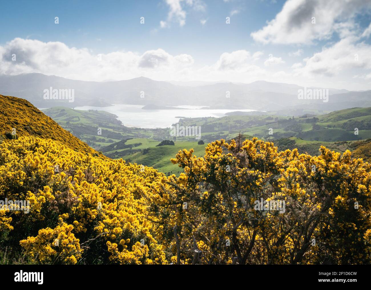Vista sulla bellissima valle con interessante fogliame giallo in primo piano, Tiro a Banks Peninsula vicino Christchurch, Isola del Sud della Nuova Zelanda Foto Stock