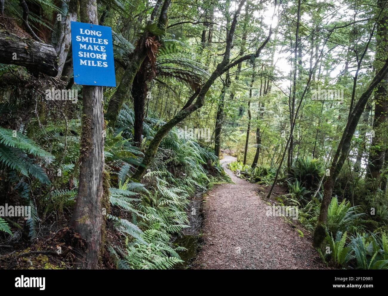 Percorso che conduce attraverso la giungla densa / foresta con messaggio motivazionale sul cartello accanto alla pista. Kepler Track, Parco Nazionale di Fiordland, Nuova Zelanda Foto Stock