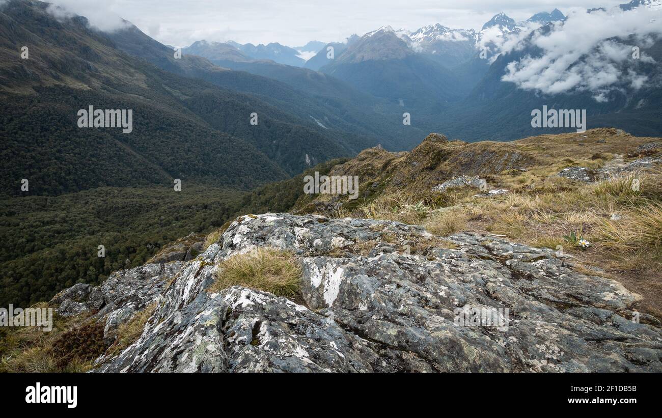 Vista sulla valle alpina (con le montagne sullo sfondo) piena di fitti boschi. Girato su Routeburn Track, Nuova Zelanda Foto Stock