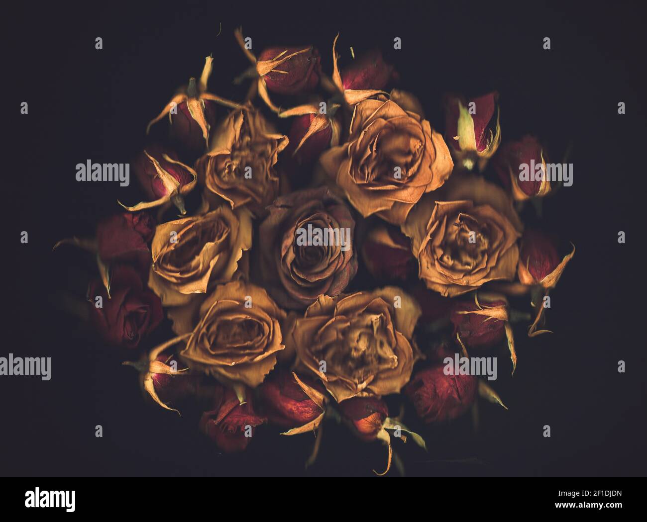 Grande bouquet di rose secche gialle scansionate su sfondo nero. Vista dall'alto. Profondità di campo poco profonda, messa a fuoco selettiva. Foto Stock