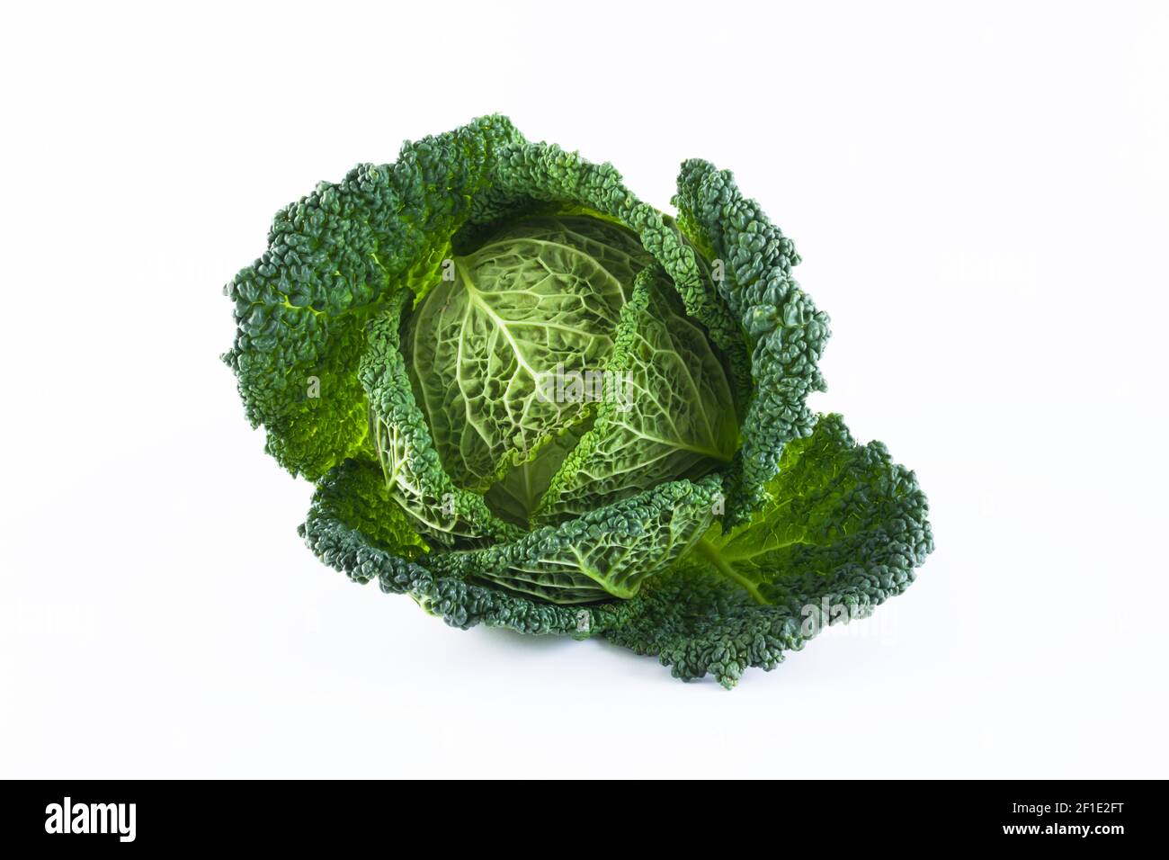 Fresco Savoy cavolo intero isolato su sfondo bianco. Concetto sano di dieta organica naturale Foto Stock