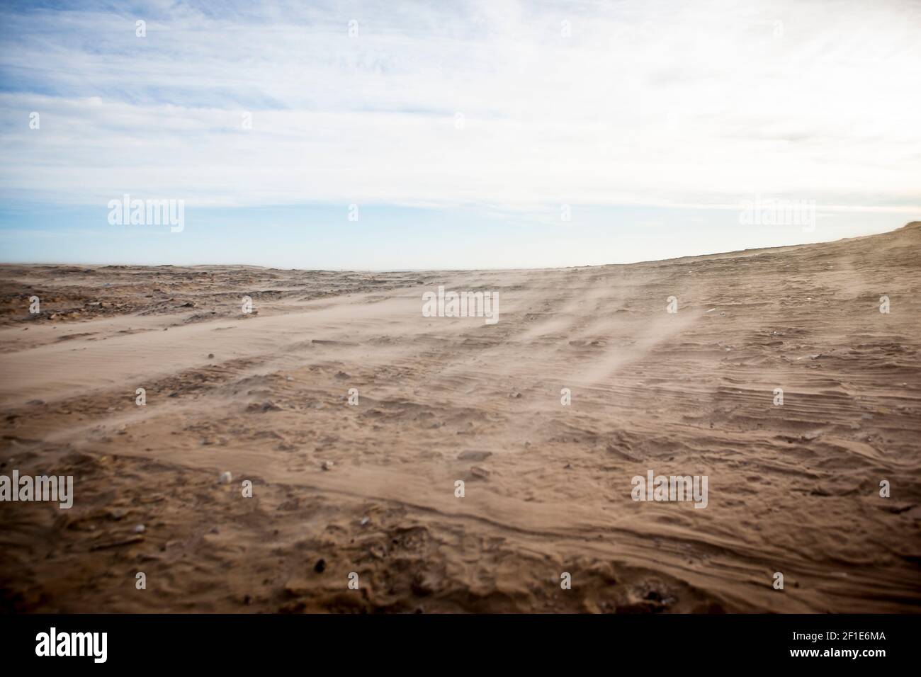 Grandi dune di sabbia in Danimarca Foto Stock