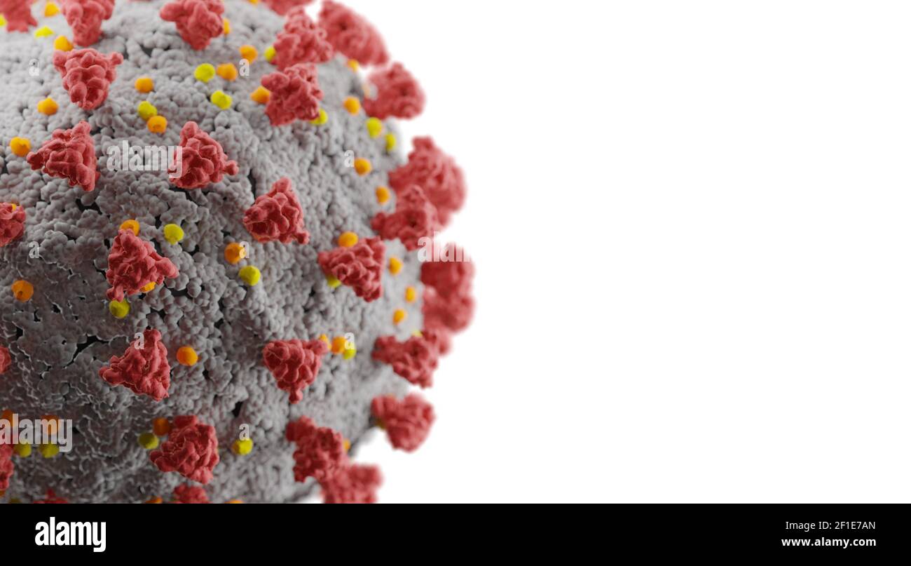Rendering 3D di un virus Sars Cov2 coronavirus Covid 19 Foto Stock