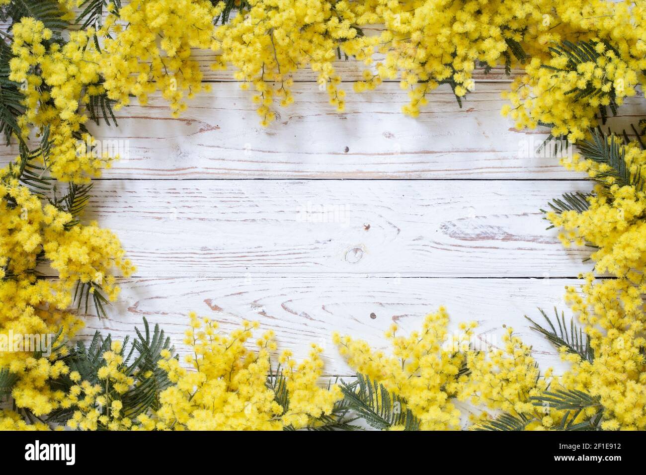 Un fiore di acacia messo intorno all'immagine su una superficie di legno bianca indossata di stile vintage. Per l'invito di nozze o motivo di primavera. Foto Stock