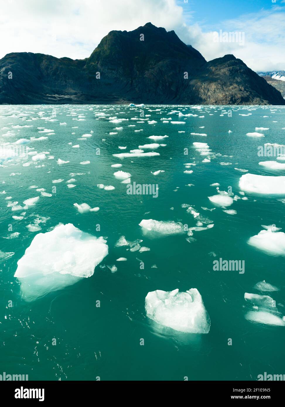 Iceberg galleggianti Oceano Pacifico Aialik Bay Alaska Nord America Foto Stock