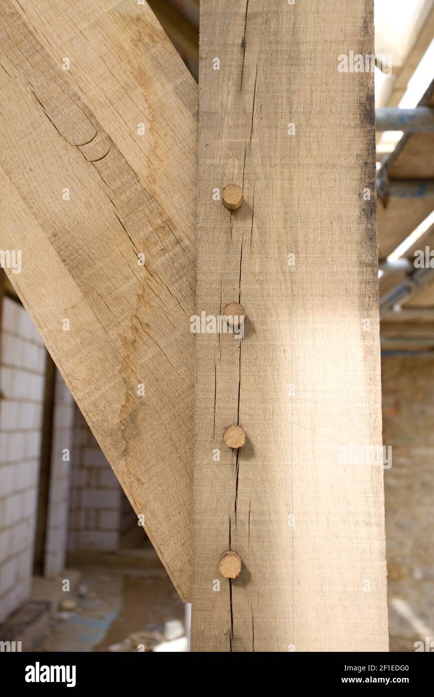 Legname di quercia con struttura a cornice, Regno Unito Foto Stock