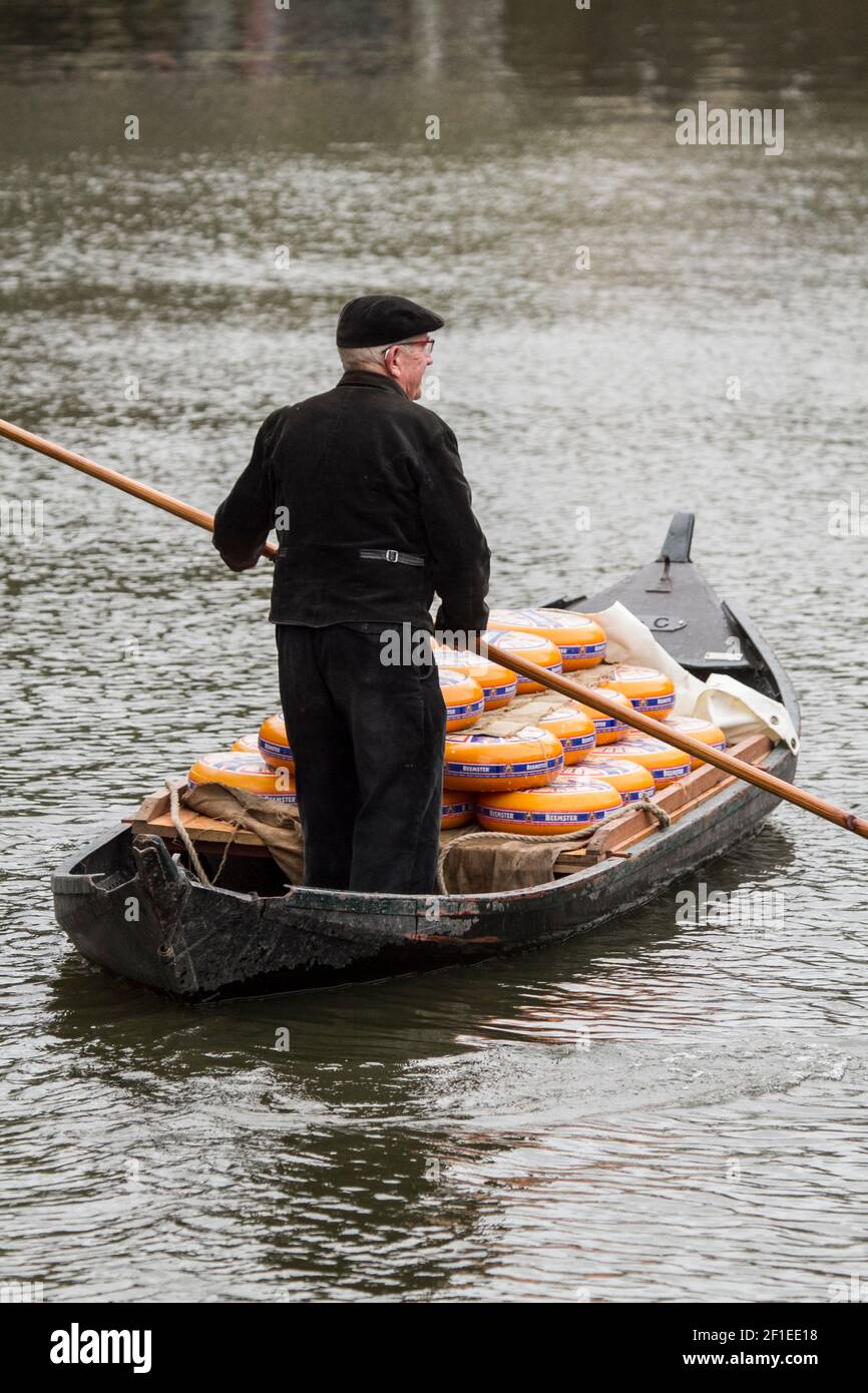 Paesi Bassi, Olanda del Nord, Alkmaar. Uomo che consegna ruote gialle di formaggio olandese, in barca al mercato del formaggio. Foto Stock