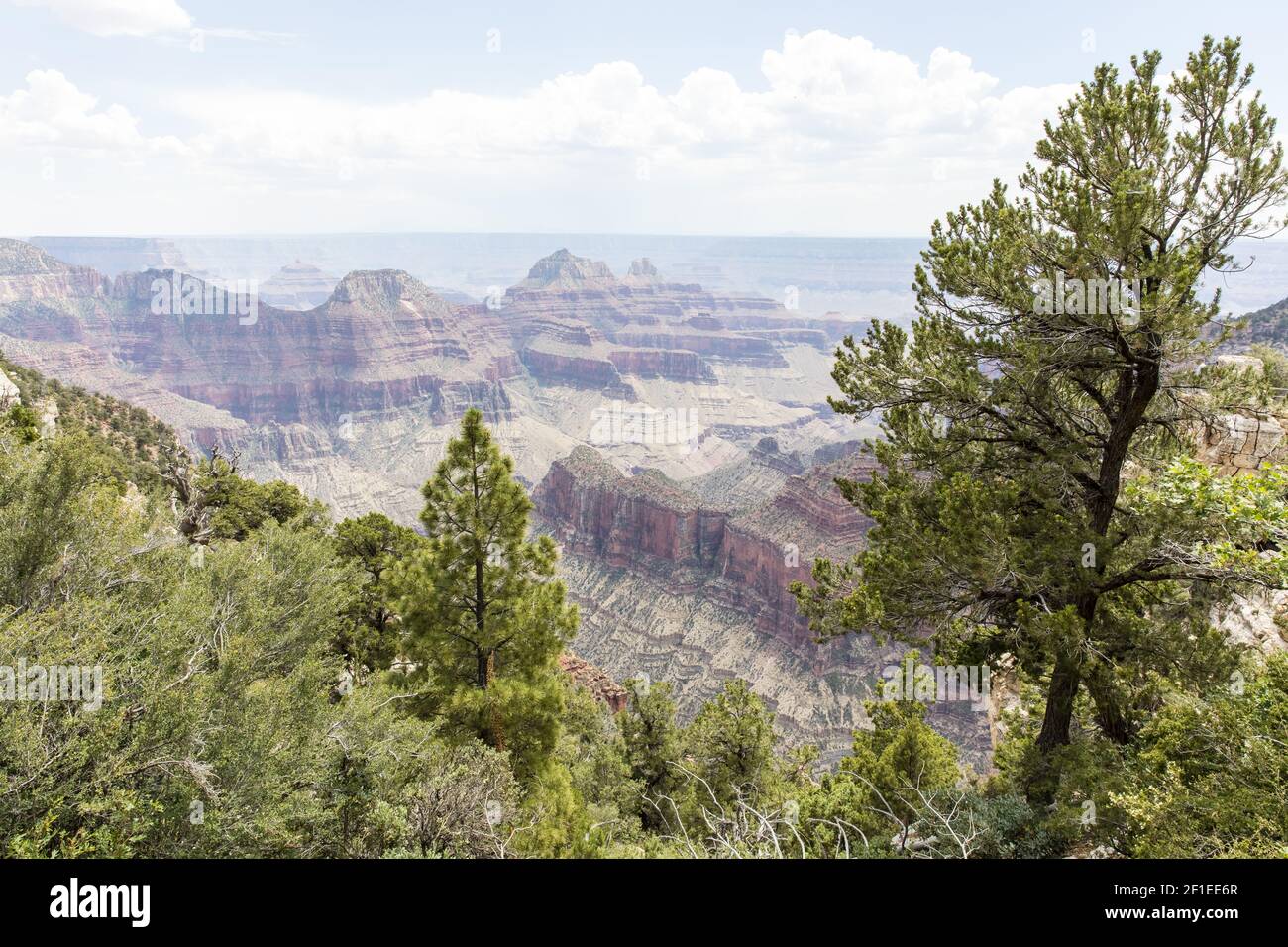 Viste panoramiche del Grand Canyon North Rim Foto Stock