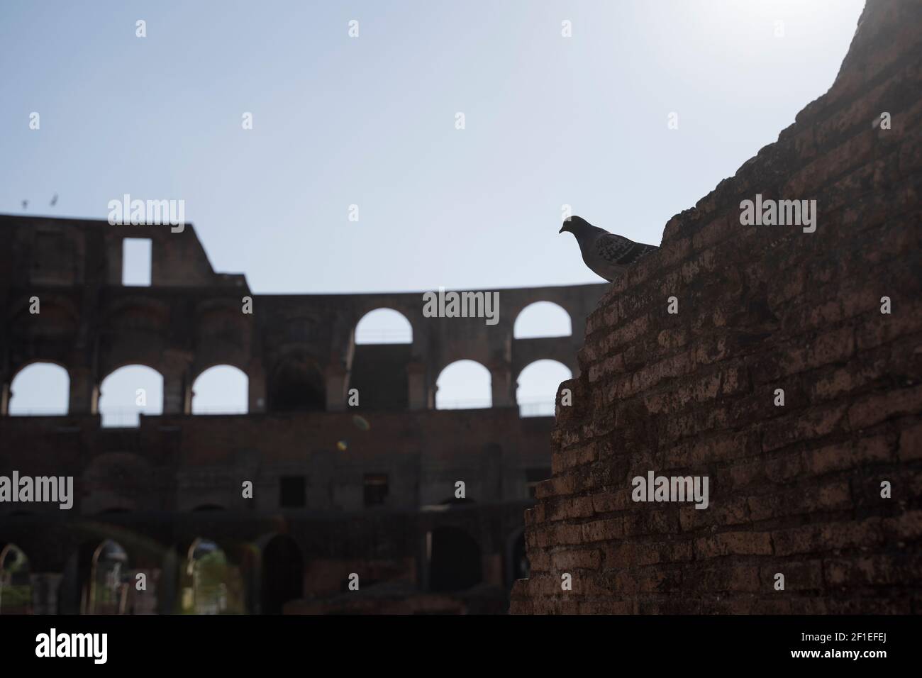 Svuotare il Colosseo durante i periodi di covid Foto Stock