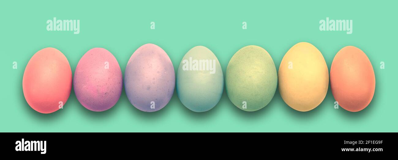 Pastel ha dipinto le uova di Pasqua allineate in una fila su sfondo verde panoramico, banner web di Pasqua Foto Stock