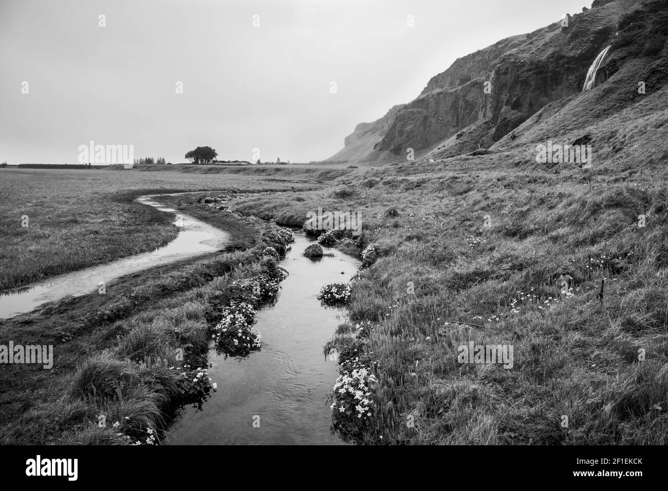 Paesaggio islandese bianco e nero Foto Stock