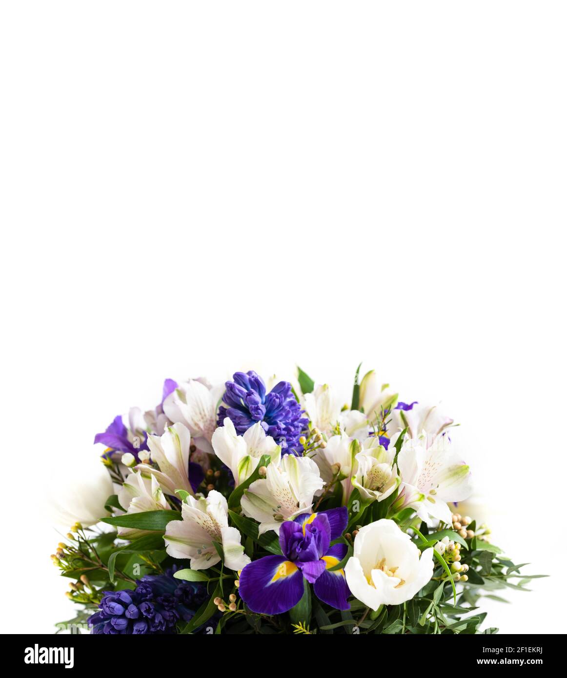 Composizione dei fiori. Fiori di primavera bianchi e viola isolati su sfondo bianco. Orientamento verticale. Spazio per il testo. Foto Stock