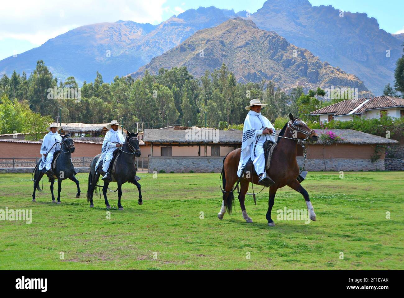 Gauchos peruviani che cavalcano i loro cavalli Paso nella campagna della Valle Sagrado a Cuzco, Perù. Foto Stock