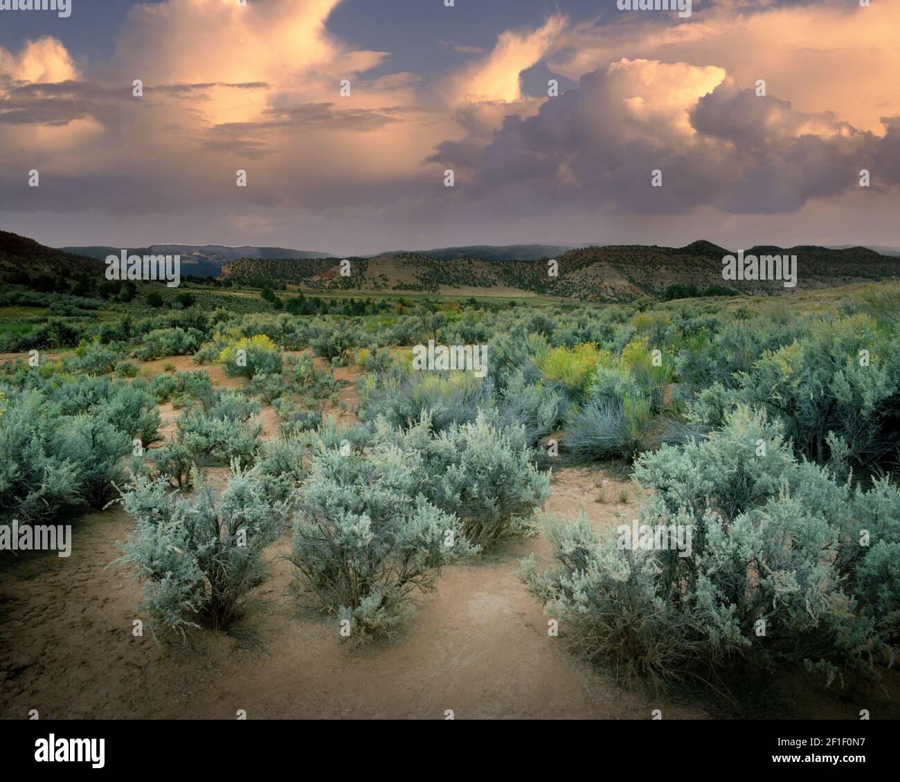 Stati Uniti - UTAH: Rainstrom nel deserto vicino a Torrey Foto Stock