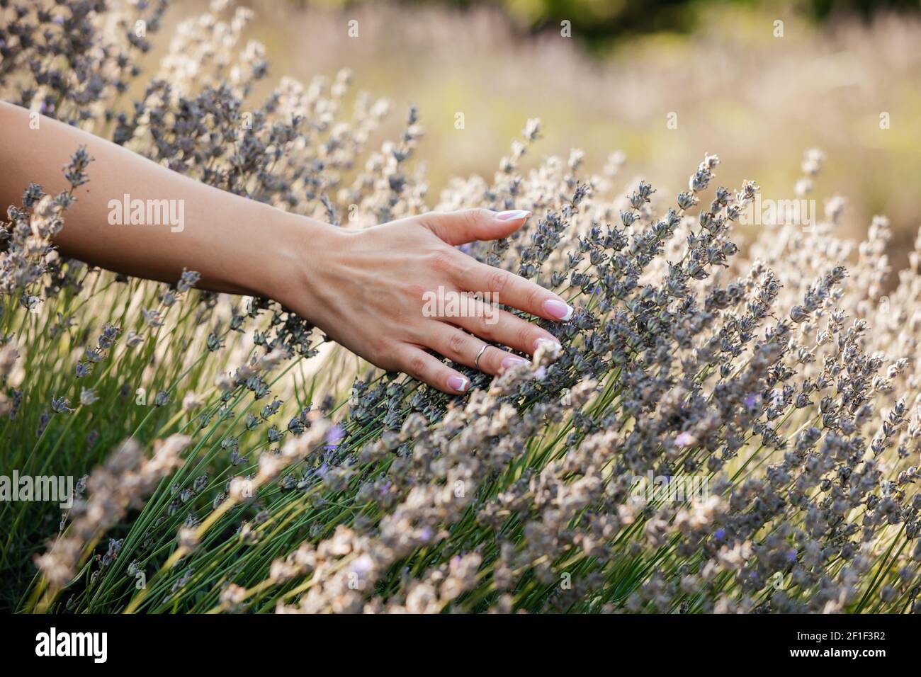 Godere della natura intatta è possibile attraverso il tocco Foto Stock