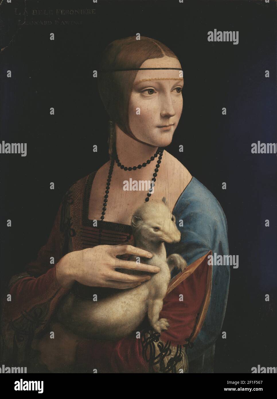Leonardo da Vinci (1452-1519), Signora con un Ermine - Ritratto di Cecilia Gallerani, 1490, tempera su pannello di legno. Museo Nazionale, Cracovia, Polonia. Foto Stock