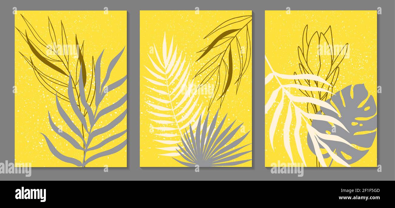 Una serie di illustrazioni botaniche minimaliste in tonalità di grigio e giallo. Adatto per poster, biglietti d'auguri, biglietti aziendali e inviti, cofanetto di libri Illustrazione Vettoriale