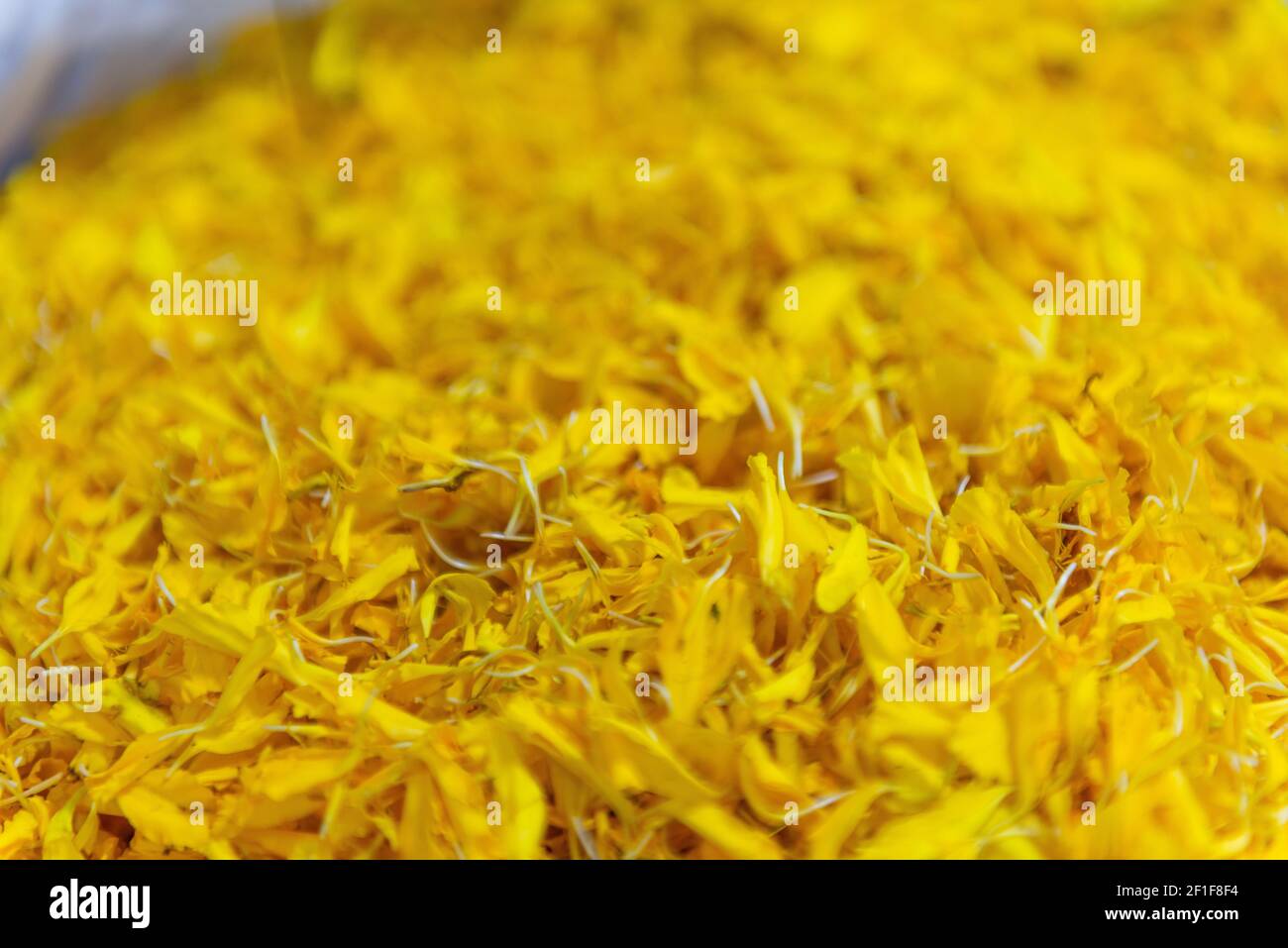 Fiori al mercato tailandese Foto Stock