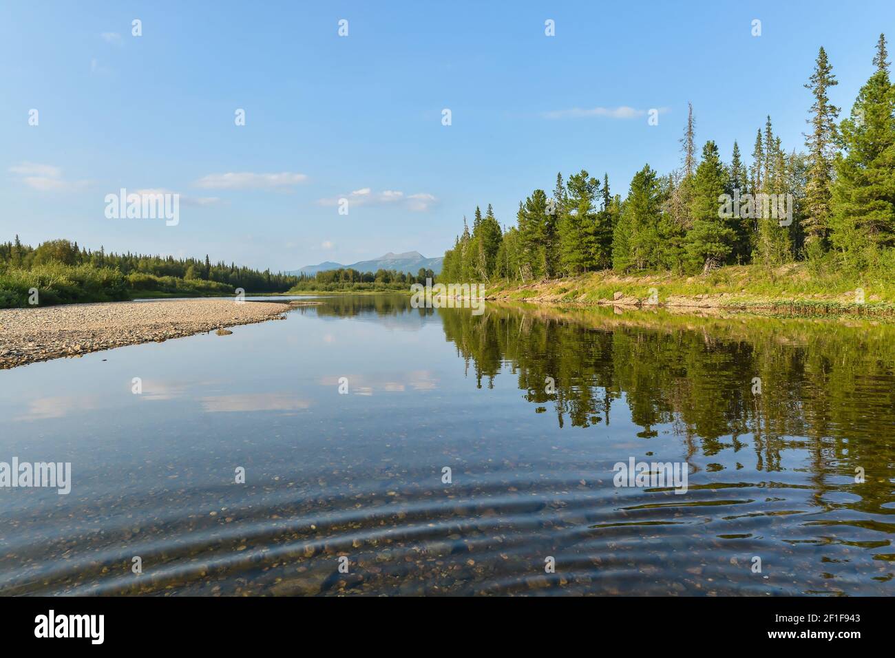 Estate negli Urali del Nord. Parco Nazionale 'Yugyd vaa', foreste Virgin Komi. Foto Stock