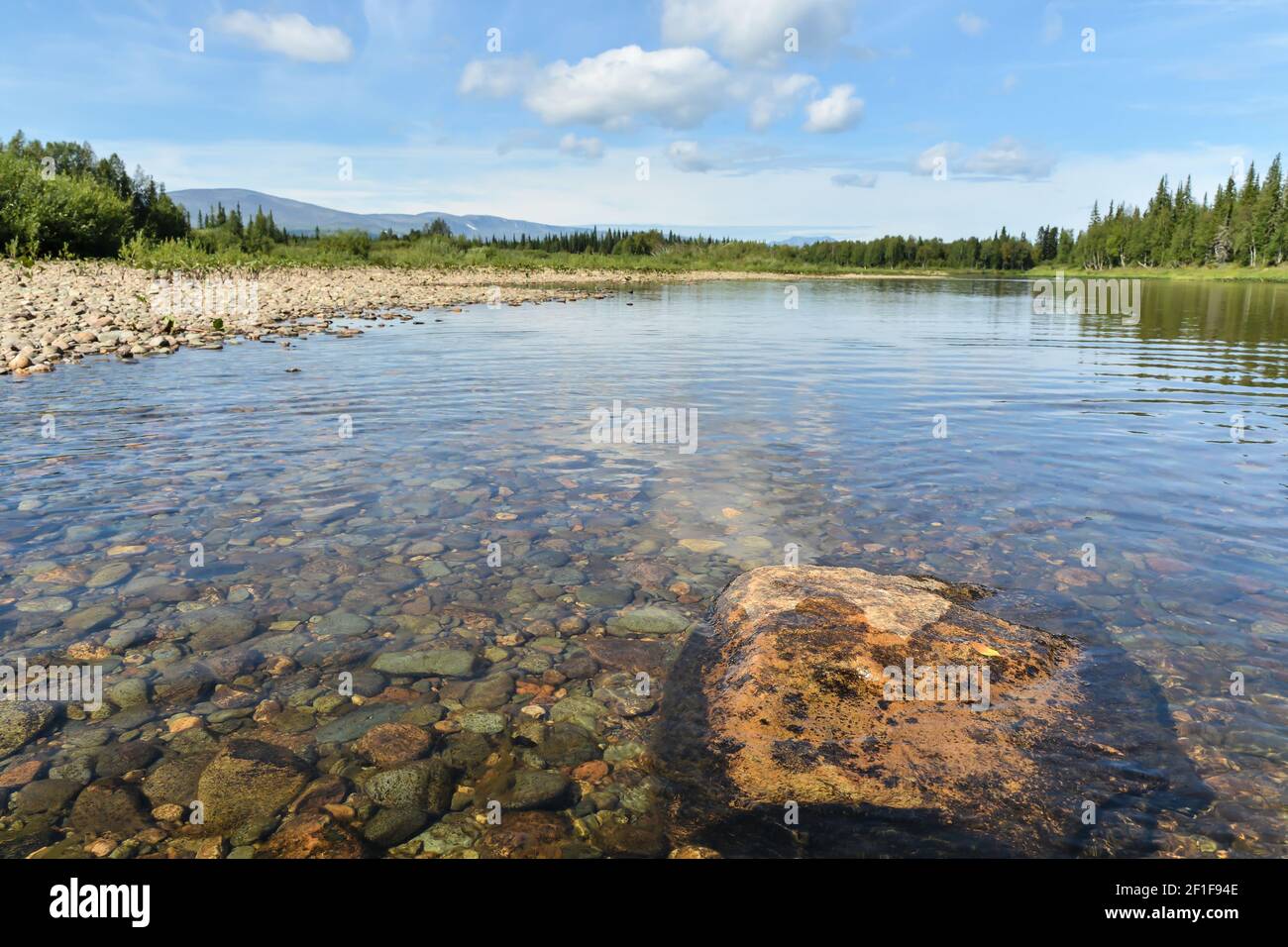 Estate negli Urali del Nord. Parco Nazionale 'Yugyd vaa', foreste Virgin Komi. Foto Stock