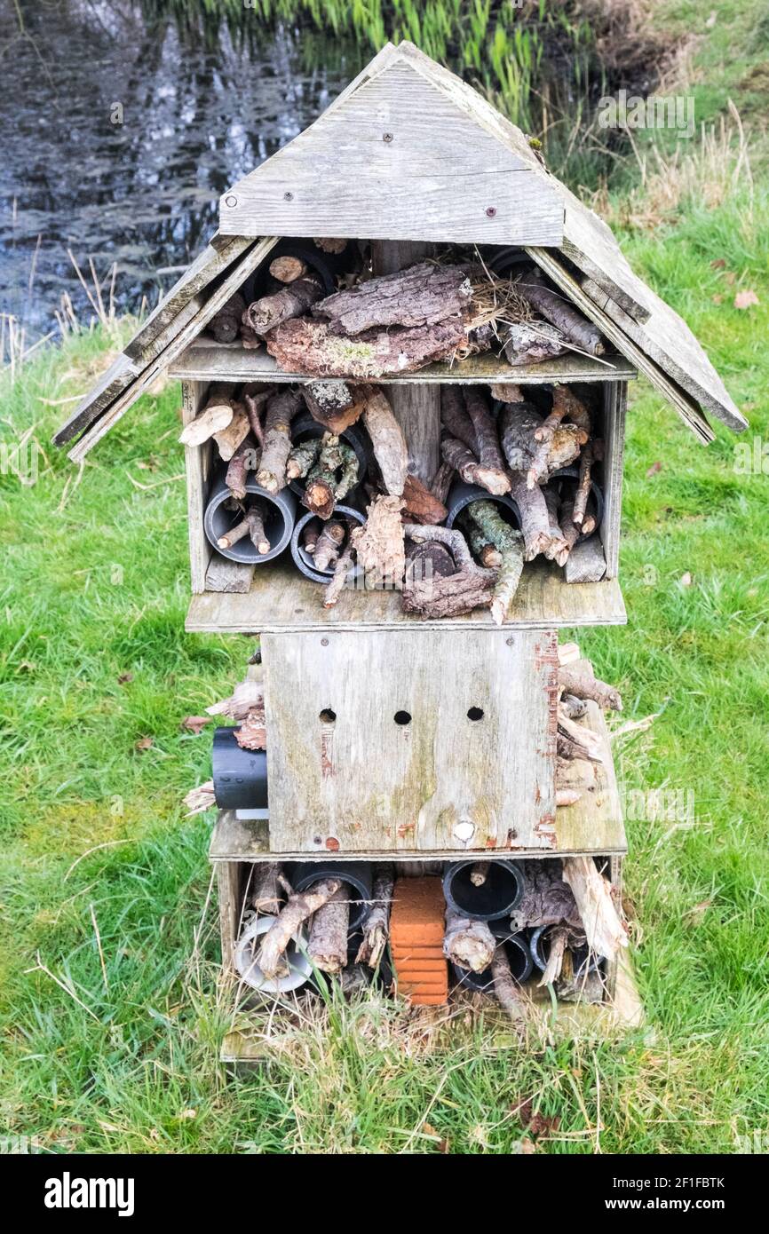 Llanilar Vicarage Lake, progetto comunitario, migliorato, desolato, in, villaggio di Llanilar, Ceredigion. Il lago ha un sacco di fauna selvatica e un grande, insetto, bug hotel. Nelle vicinanze si trova lo Ystwyth Trail, un 21 miglia, 34 km, percorso multiuso, utilizzato, da cani escursionisti, escursionisti, ciclisti, joggers, e in parte a cavallo, per i cavalieri. L'ex linea di sentiero collega la città costiera studentesca di Aberystwyth, ON, Cardigan Bay, a Tregaron, entrambi, in Ceredigion. Il sentiero è prevalentemente lungo il fiume Ystwtyh. Fotografia scattata tra il villaggio di Llanilar e Transgoed,rurale,campagna,scenario,Ceredigon,Galles,Galles,UK,GB, Foto Stock