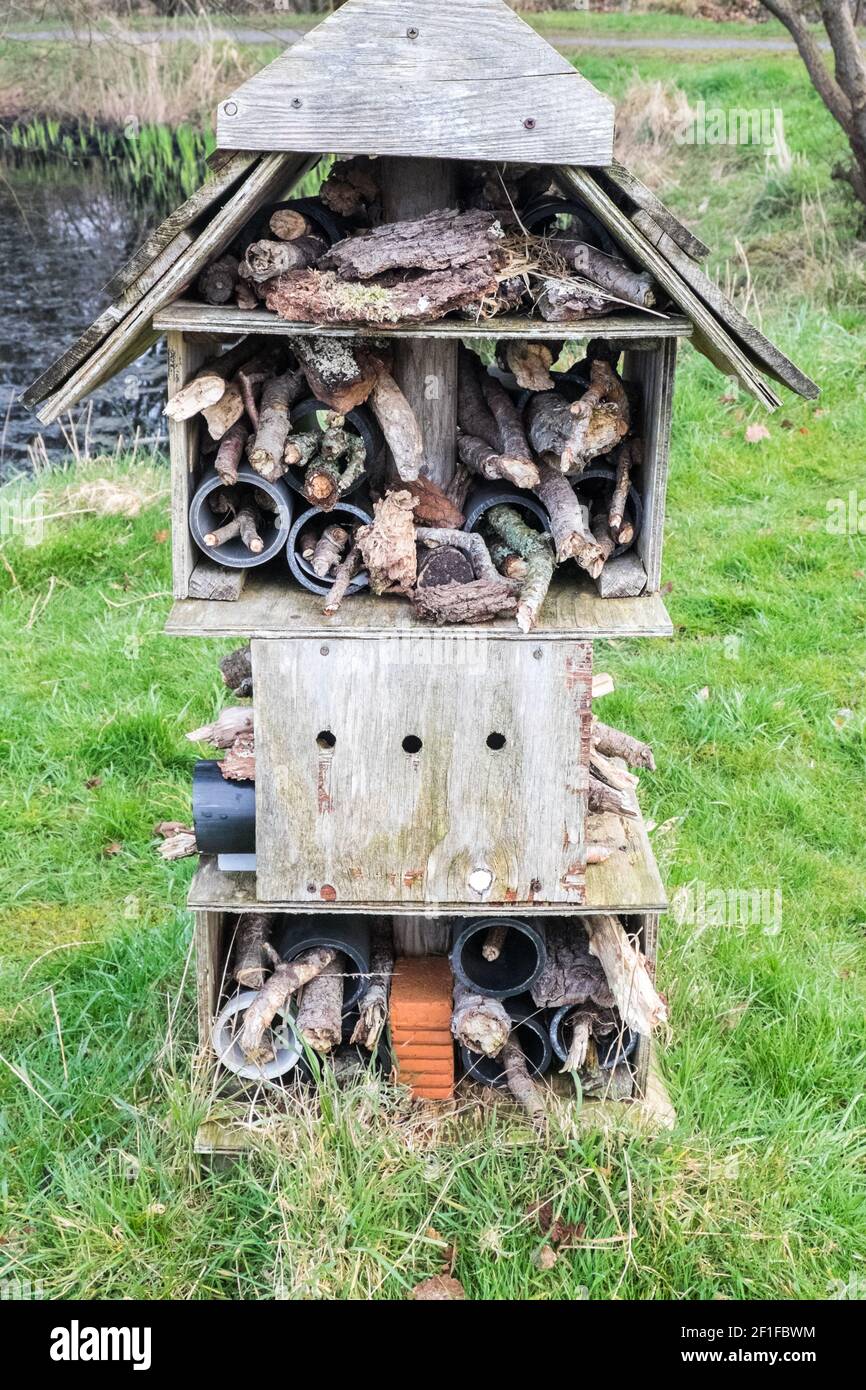 Llanilar Vicarage Lake, progetto comunitario, migliorato, desolato, in, villaggio di Llanilar, Ceredigion. Il lago ha un sacco di fauna selvatica e un grande, insetto, bug hotel. Nelle vicinanze si trova lo Ystwyth Trail, un 21 miglia, 34 km, percorso multiuso, utilizzato, da cani escursionisti, escursionisti, ciclisti, joggers, e in parte a cavallo, per i cavalieri. L'ex linea di sentiero collega la città costiera studentesca di Aberystwyth, ON, Cardigan Bay, a Tregaron, entrambi, in Ceredigion. Il sentiero è prevalentemente lungo il fiume Ystwtyh. Fotografia scattata tra il villaggio di Llanilar e Transgoed,rurale,campagna,scenario,Ceredigon,Galles,Galles,UK,GB, Foto Stock